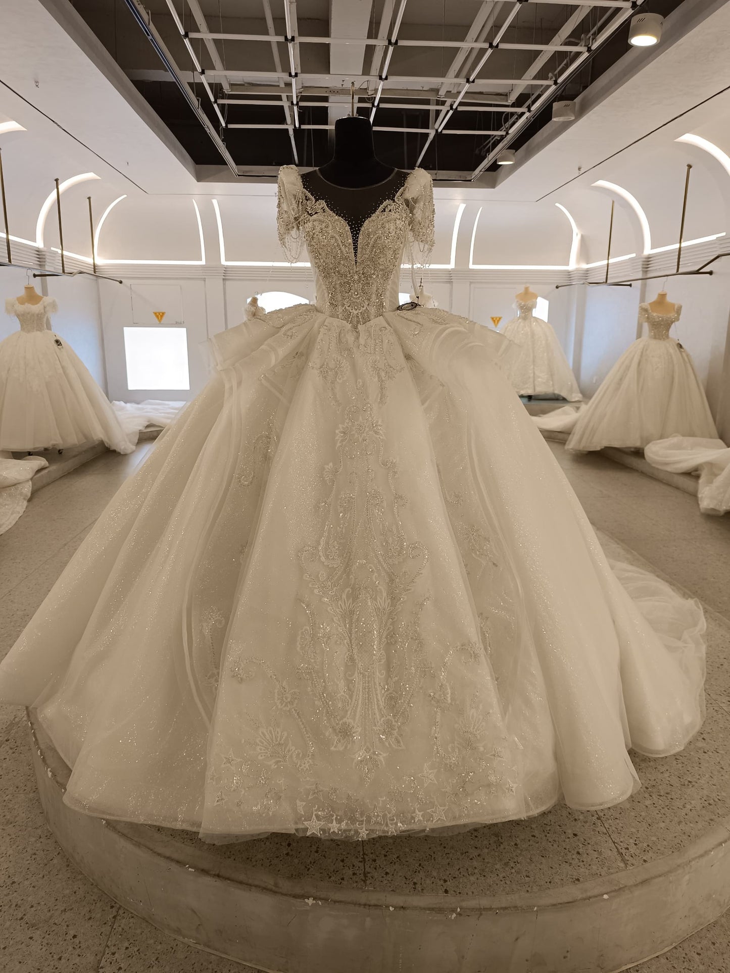 Classic Ball gown wedding dress