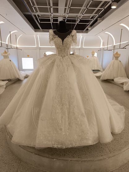 Classic Ball gown wedding dress