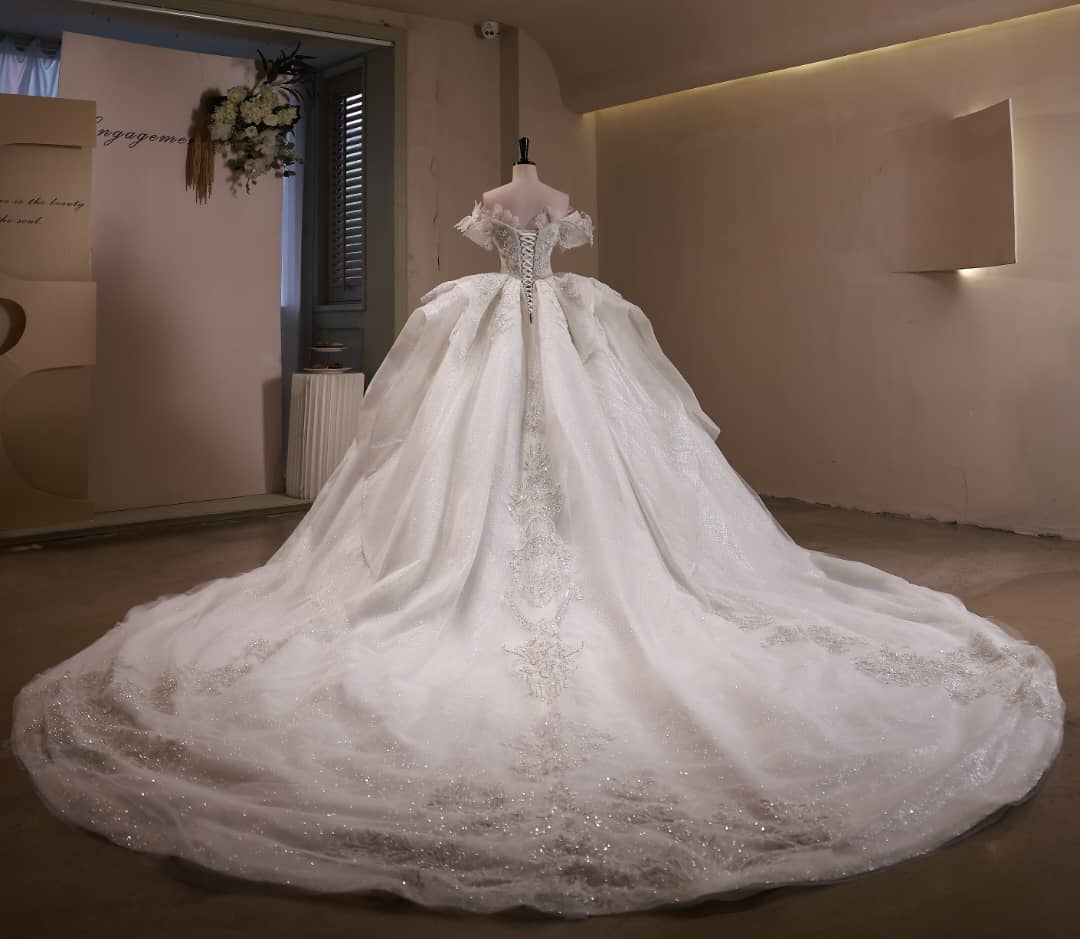 Elegant Ball gown dress