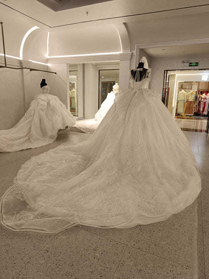 Classic Ball gown wedding dress