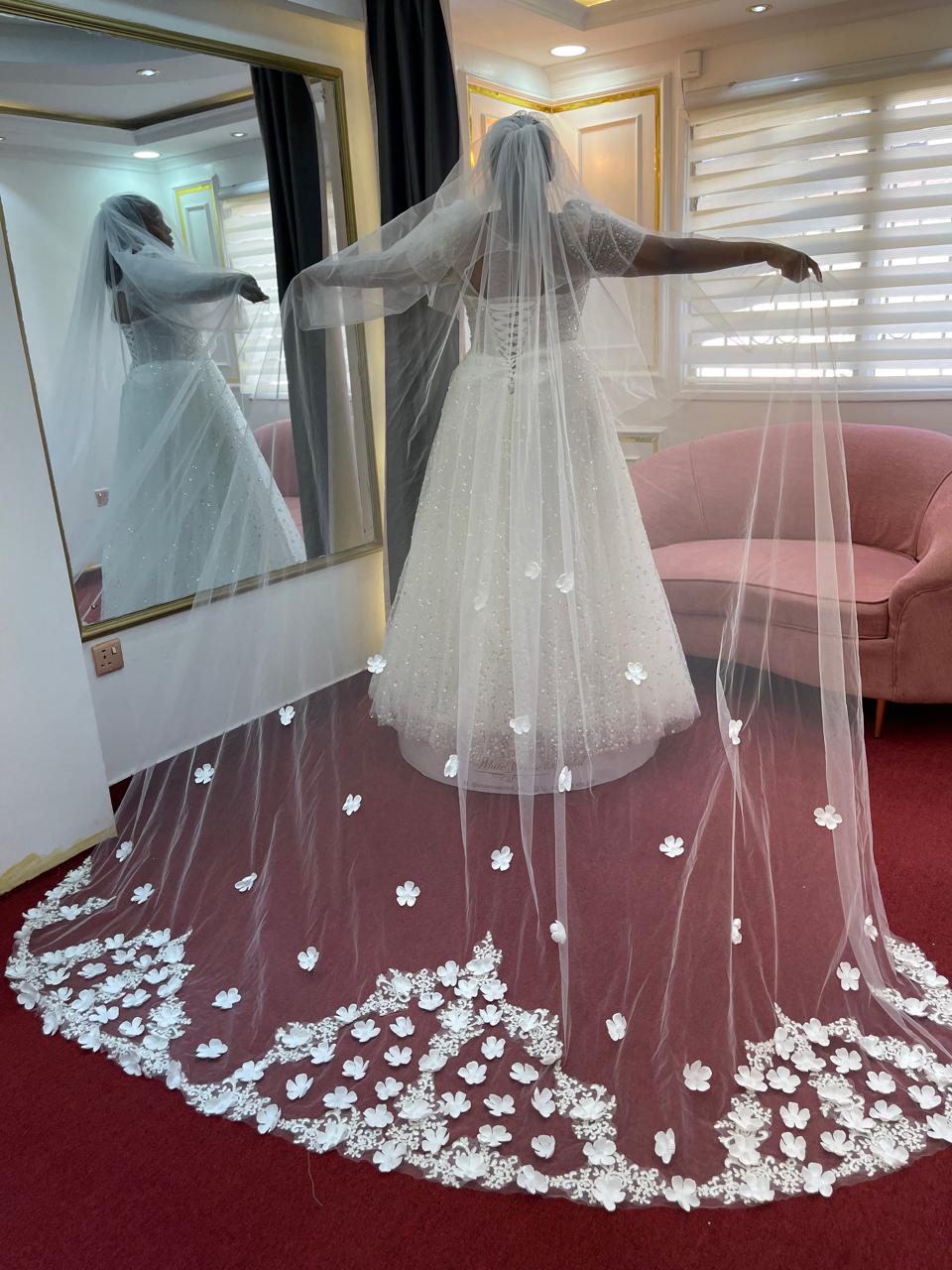 cathedral Bridal veil